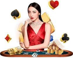 567bra